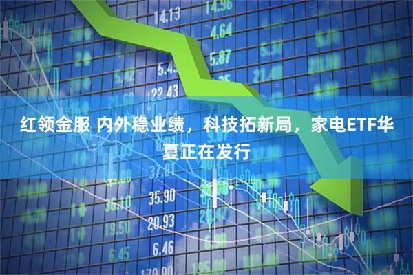 红领金服 内外稳业绩，科技拓新局，家电ETF华夏正在发行
