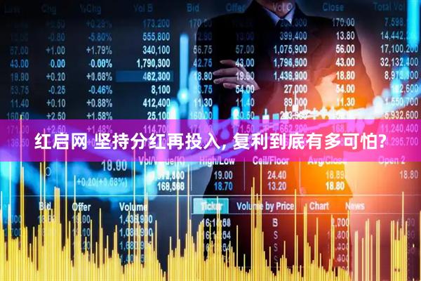 红启网 坚持分红再投入, 复利到底有多可怕?