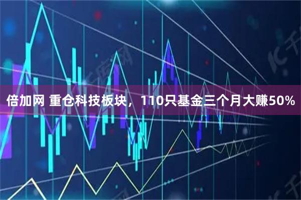 倍加网 重仓科技板块，110只基金三个月大赚50%